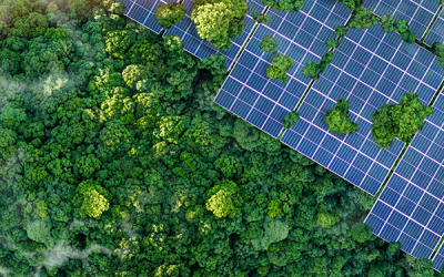 Difusión científica